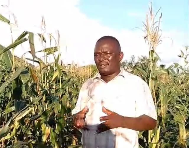 Shabani Kamphambe in his maize field, Chiotcha Village, Malawi