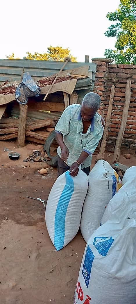 Shabani tends to large sacks of harvested grain near a partially dismantled stru