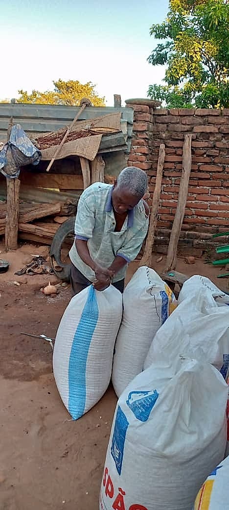 Shabani ties and arranges large woven sacks of harvested crops in a dusty yard b
